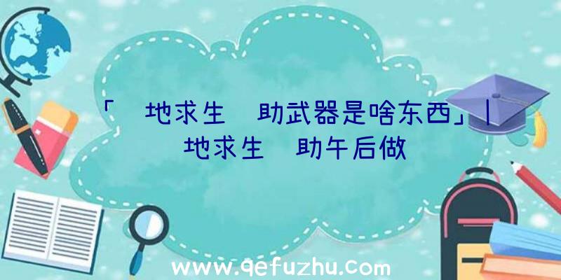 「绝地求生辅助武器是啥东西」|绝地求生辅助午后做